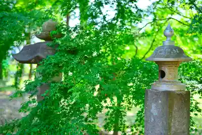 指扇氷川神社(埼玉県)