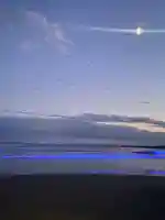 大洗磯前神社(茨城県)