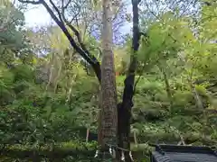 貴船神社奥宮(京都府)