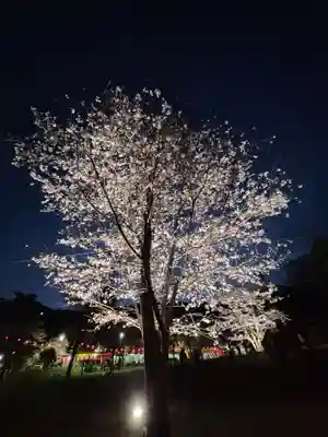 長谷寺(神奈川県)