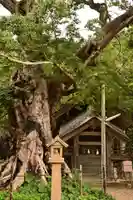 神魂伊能知奴志神社(島根県)