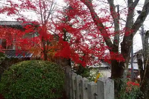 北山別院の庭園