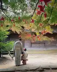 滑川神社 - 仕事と子どもの守り神の七五三参