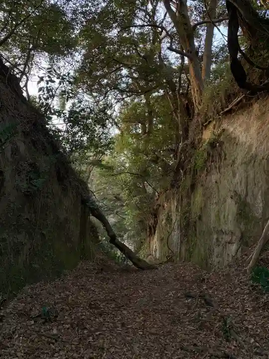 日吉神社の周辺