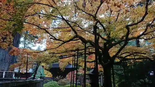 北口本宮冨士浅間神社の自然
