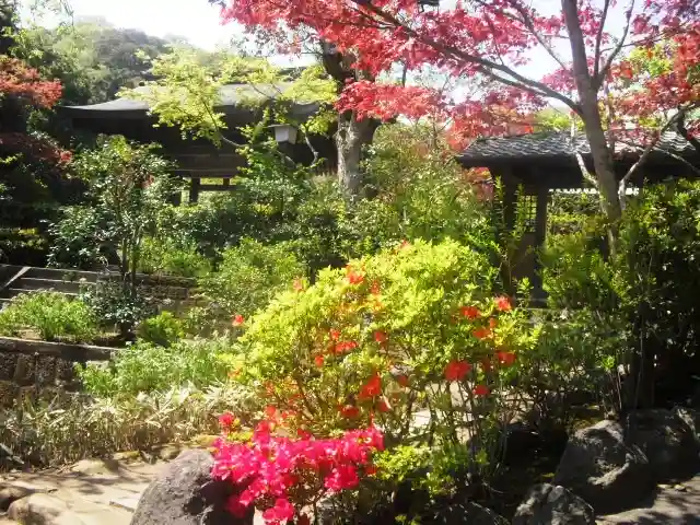海蔵寺(神奈川県)
