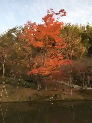 高台寺（高台寿聖禅寺・高臺寺）(京都府)