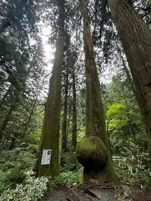 花園神社(茨城県)