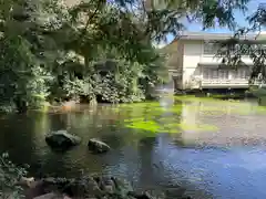 富士山本宮浅間大社(静岡県)