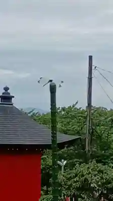 白狐山光星寺(山形県)