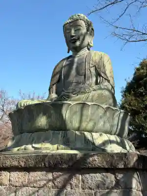 護国寺の{uncategorized: "未分類", other: "その他", undefined: "問題あり", building: "その他建物", grave: "お墓", sacred_gate: "鳥居", guardian: "狛犬", statue: "像", buddha: "仏像", history: "歴史", nature: "自然", garden: "庭園", animal: "動物", pagoda: "塔", temizu: "手水舎", mountain_gate: "山門・神門", sanctuary: "本殿・本堂", subordinate: "末社・摂社", art: "芸術", scenery: "景色", jizo: "地蔵", ema: "絵馬", goshuin: "御朱印", omikuji: "おみくじ", items: "授与品その他", amulet: "お守り", goshuincho: "御朱印帳", eats: "食事", festival: "お祭り", votive_dance: "神楽", shichigosan: "七五三参", wedding: "結婚式", experience: "体験その他", initially: "初詣", around: "周辺", anti_infection: "感染症対策"}