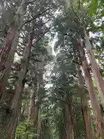 戸隠神社奥社の{uncategorized: "未分類", other: "その他", undefined: "問題あり", building: "その他建物", grave: "お墓", sacred_gate: "鳥居", guardian: "狛犬", statue: "像", buddha: "仏像", history: "歴史", nature: "自然", garden: "庭園", animal: "動物", pagoda: "塔", temizu: "手水舎", mountain_gate: "山門・神門", sanctuary: "本殿・本堂", subordinate: "末社・摂社", art: "芸術", scenery: "景色", jizo: "地蔵", ema: "絵馬", goshuin: "御朱印", omikuji: "おみくじ", items: "授与品その他", amulet: "お守り", goshuincho: "御朱印帳", eats: "食事", festival: "お祭り", votive_dance: "神楽", shichigosan: "七五三参", wedding: "結婚式", experience: "体験その他", initially: "初詣", around: "周辺", anti_infection: "感染症対策"}