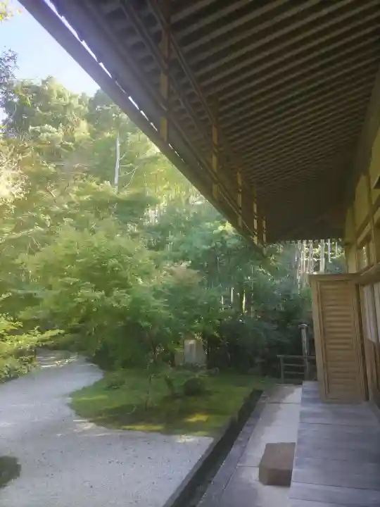 圓光寺の{uncategorized: "未分類", other: "その他", undefined: "問題あり", building: "その他建物", grave: "お墓", sacred_gate: "鳥居", guardian: "狛犬", statue: "像", buddha: "仏像", history: "歴史", nature: "自然", garden: "庭園", animal: "動物", pagoda: "塔", temizu: "手水舎", mountain_gate: "山門・神門", sanctuary: "本殿・本堂", subordinate: "末社・摂社", art: "芸術", scenery: "景色", jizo: "地蔵", ema: "絵馬", goshuin: "御朱印", omikuji: "おみくじ", items: "授与品その他", amulet: "お守り", goshuincho: "御朱印帳", eats: "食事", festival: "お祭り", votive_dance: "神楽", shichigosan: "七五三参", wedding: "結婚式", experience: "体験その他", initially: "初詣", around: "周辺", anti_infection: "感染症対策"}