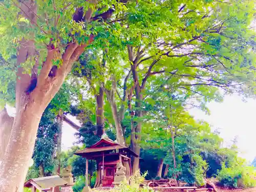 北向き道祖神(茨城県)