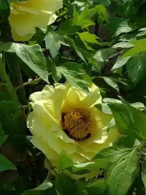 禅定院(東京都)