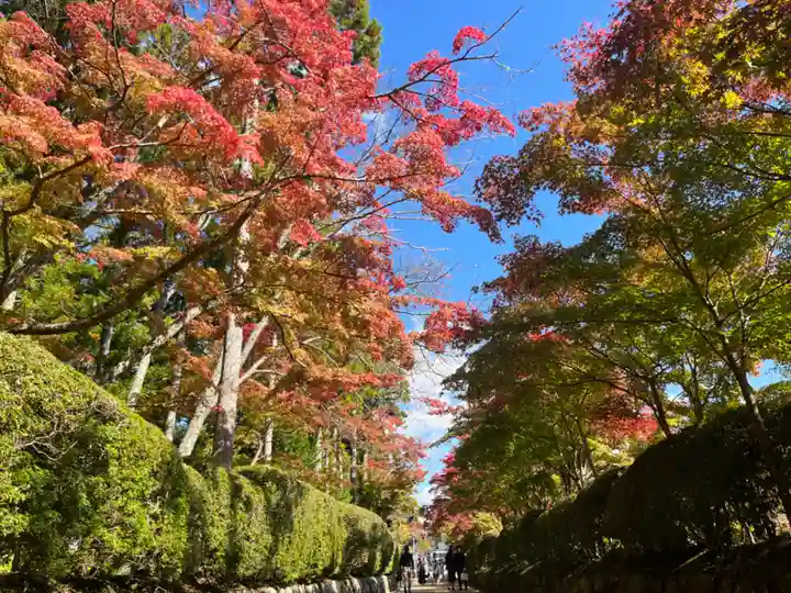 高野山金剛峯寺の自然