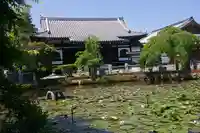 圓照寺の本殿・本堂