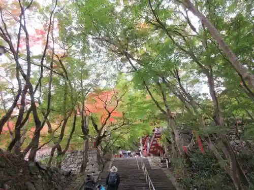 談山神社の自然