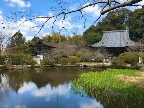 長岳寺の庭園