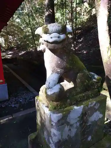 箱根神社の狛犬