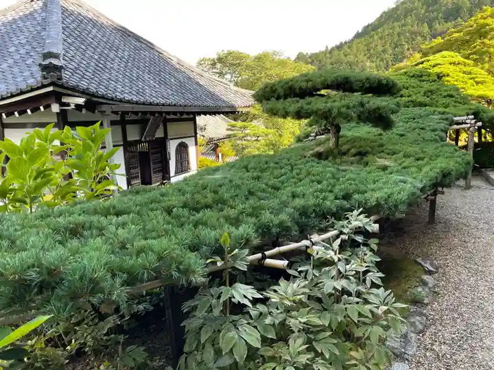 善峯寺(京都府)