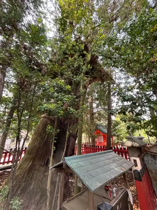 北野天満宮(京都府)