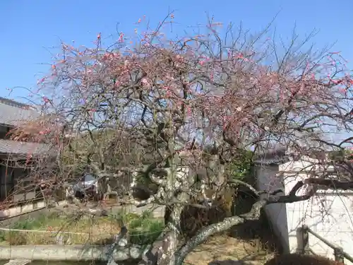 曼荼羅寺(香川県)
