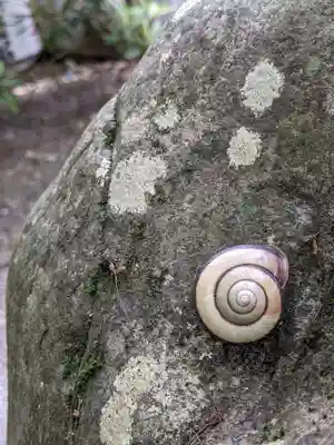 丹生川上神社（下社）(奈良県)