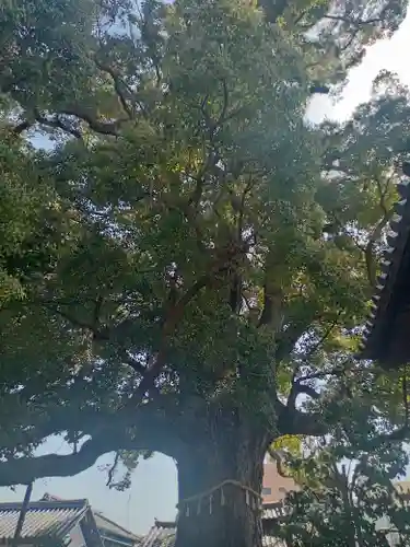 法楽寺(大阪府)