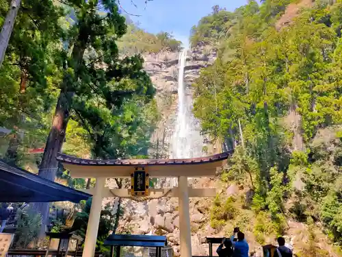 飛瀧神社（熊野那智大社別宮）(和歌山県)