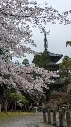 醍醐寺(京都府)