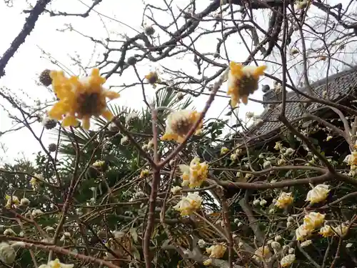荏柄天神社(神奈川県)