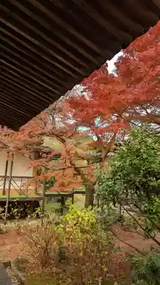 法金剛院(京都府)