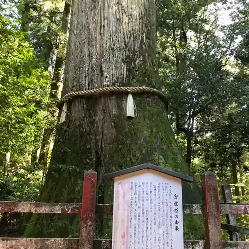 箱根神社のその他建物