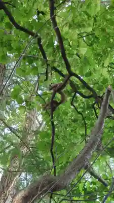 相馬神社(北海道)