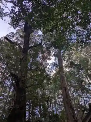 牛庭神社(三重県)