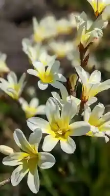 本勝寺(静岡県)