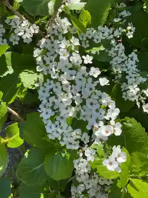 三輪神社(愛知県)