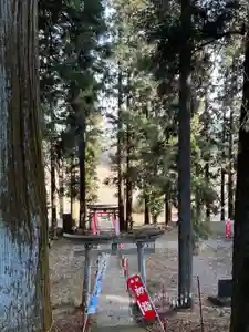 大宮温泉神社(栃木県)(2023年01月13日(金) 10時38分22秒投稿)