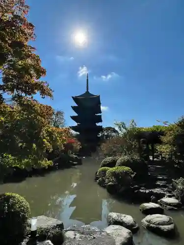 東寺（教王護国寺）(京都府)