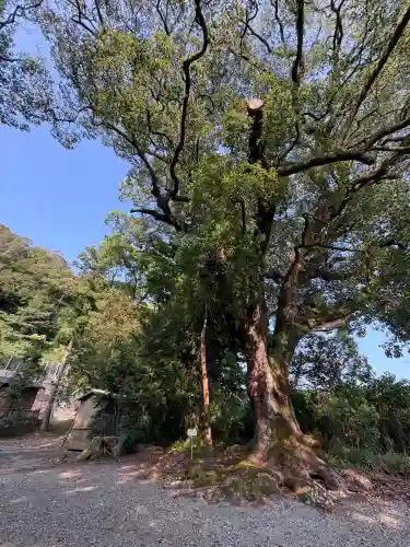 宍喰八坂神社(徳島県)