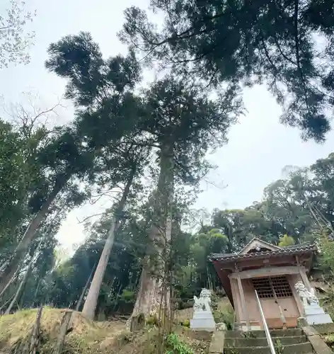 白藤神社(兵庫県)