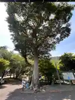 福寿寺(福井県)