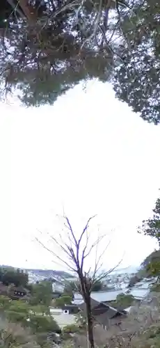 慈照寺（慈照禅寺・銀閣寺）(京都府)