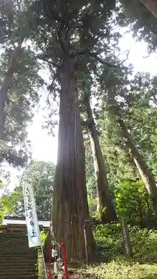 大宮温泉神社(栃木県)
