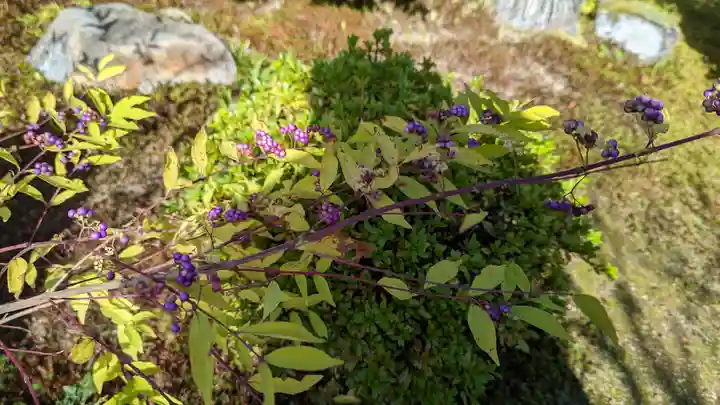 実光院(京都府)