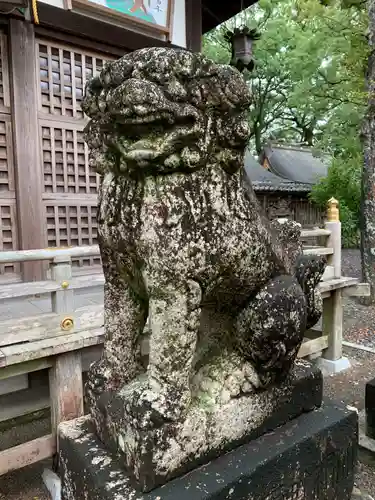 闘鶏神社の狛犬