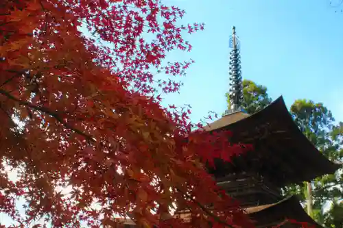 国宝 大法寺の景色