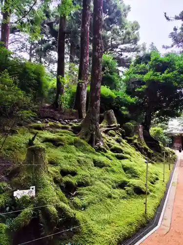 鶴林寺(徳島県)