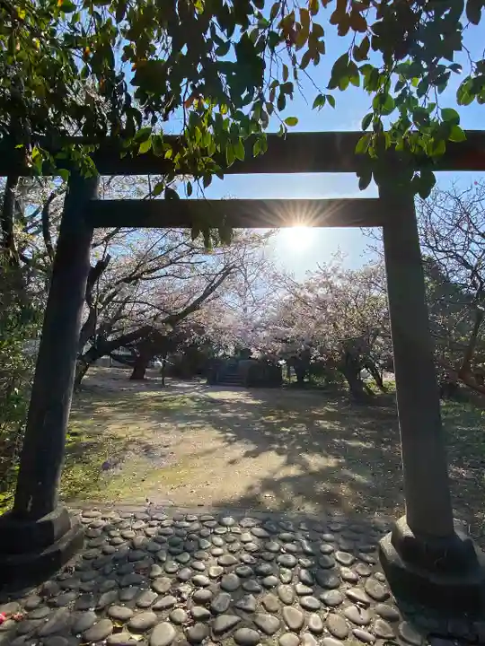 神﨑神社(鳥取県)